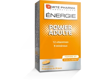 FORTE PHARMA POWER ADULTE BT28