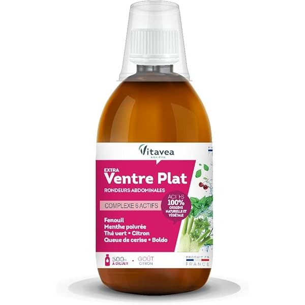 VITAVEA EXTRA BRULE GRAISSE 500ML