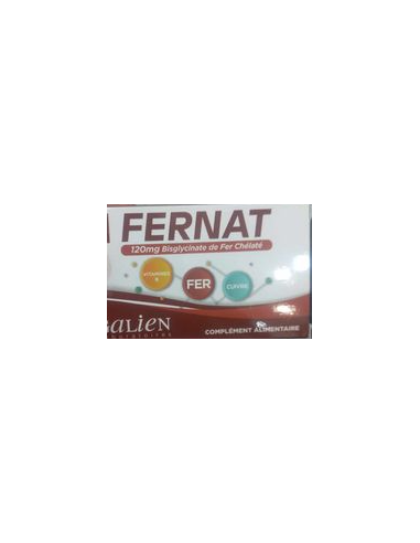 GALIEN FERNAT 120MG GELULES BT30