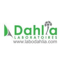 dahlia